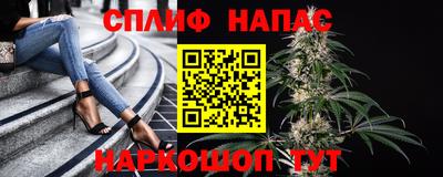 ешки Камышлов