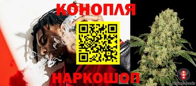 ешки Камышлов