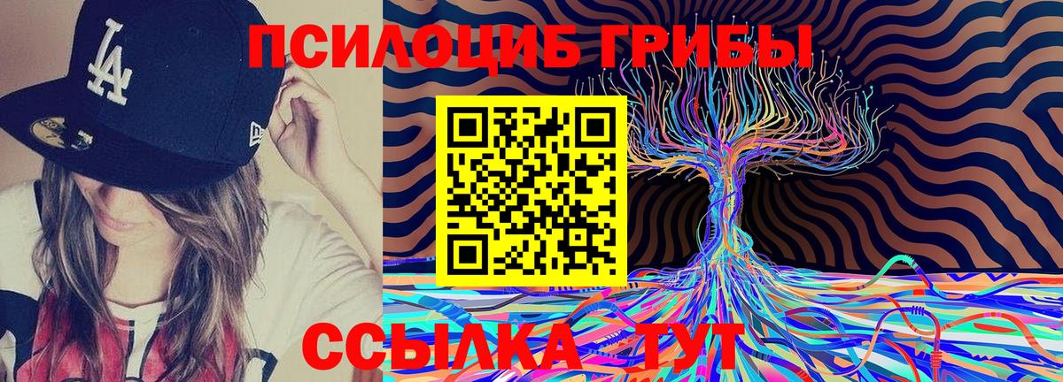 Галлюциногенные грибы мухоморы Костомукша