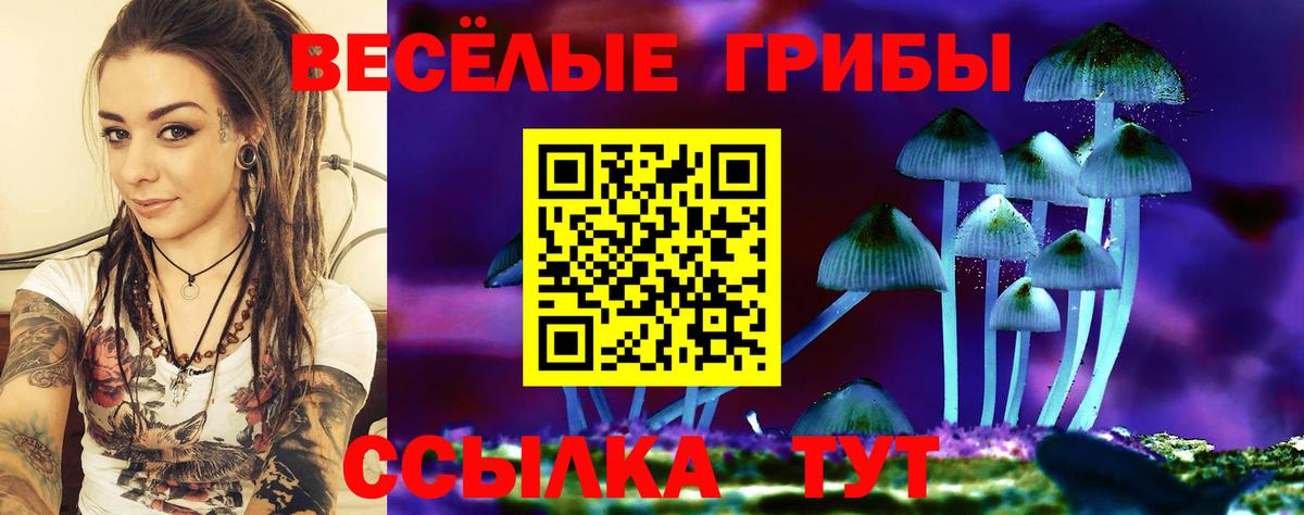 Костомукша  Псилоцибиновые грибы Cubensis  продажа наркотиков  Псилоцибиновые грибы Psilocybe  Вход с VPN 